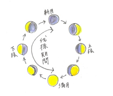 木材の月齢伐採・葉枯らし乾燥・天然乾燥って知っていますか?